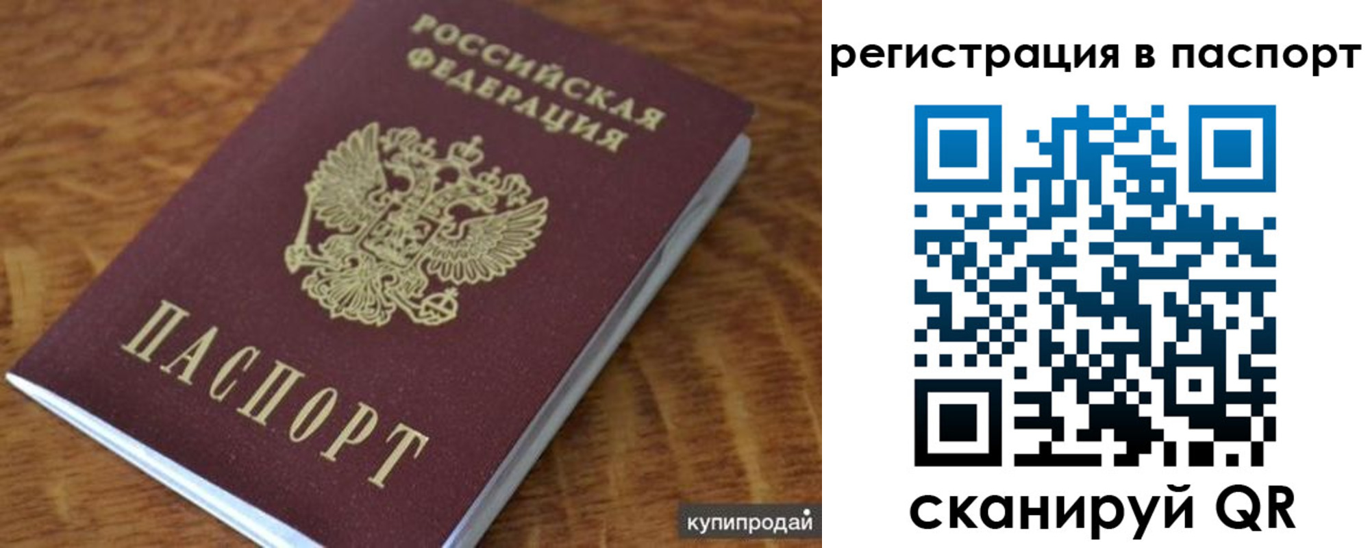 временная регистрация гарантия в Каргате